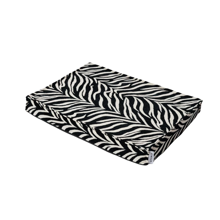 zebra2.jpg