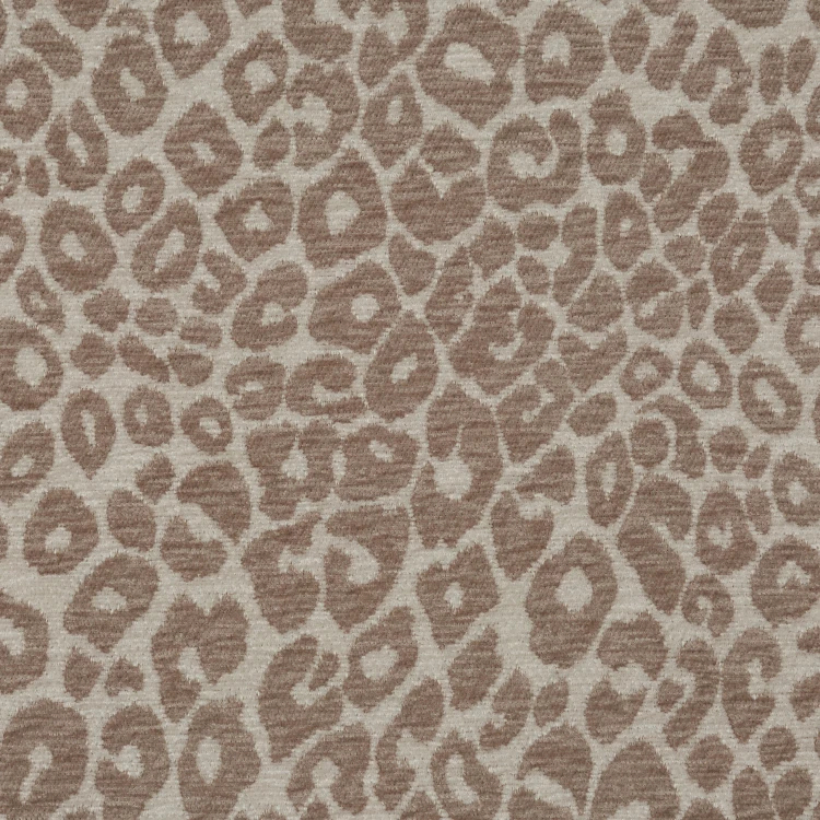 6C0A5544.jpg